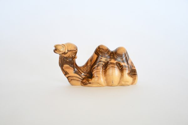 Camel