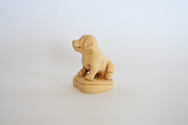Puppy